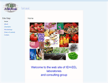 Tablet Screenshot of ieheel.com